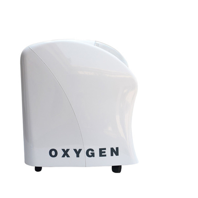 オリーブ色3Lによっては300ワットの車の酸素のコンセントレイターがライト級選手低い電力の消費の家へ帰ります