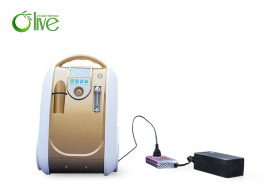 ホーム ケアの医学の酸素の発電機、携帯用酸素のコンセントレイター連続的なフロー6つのLpmの